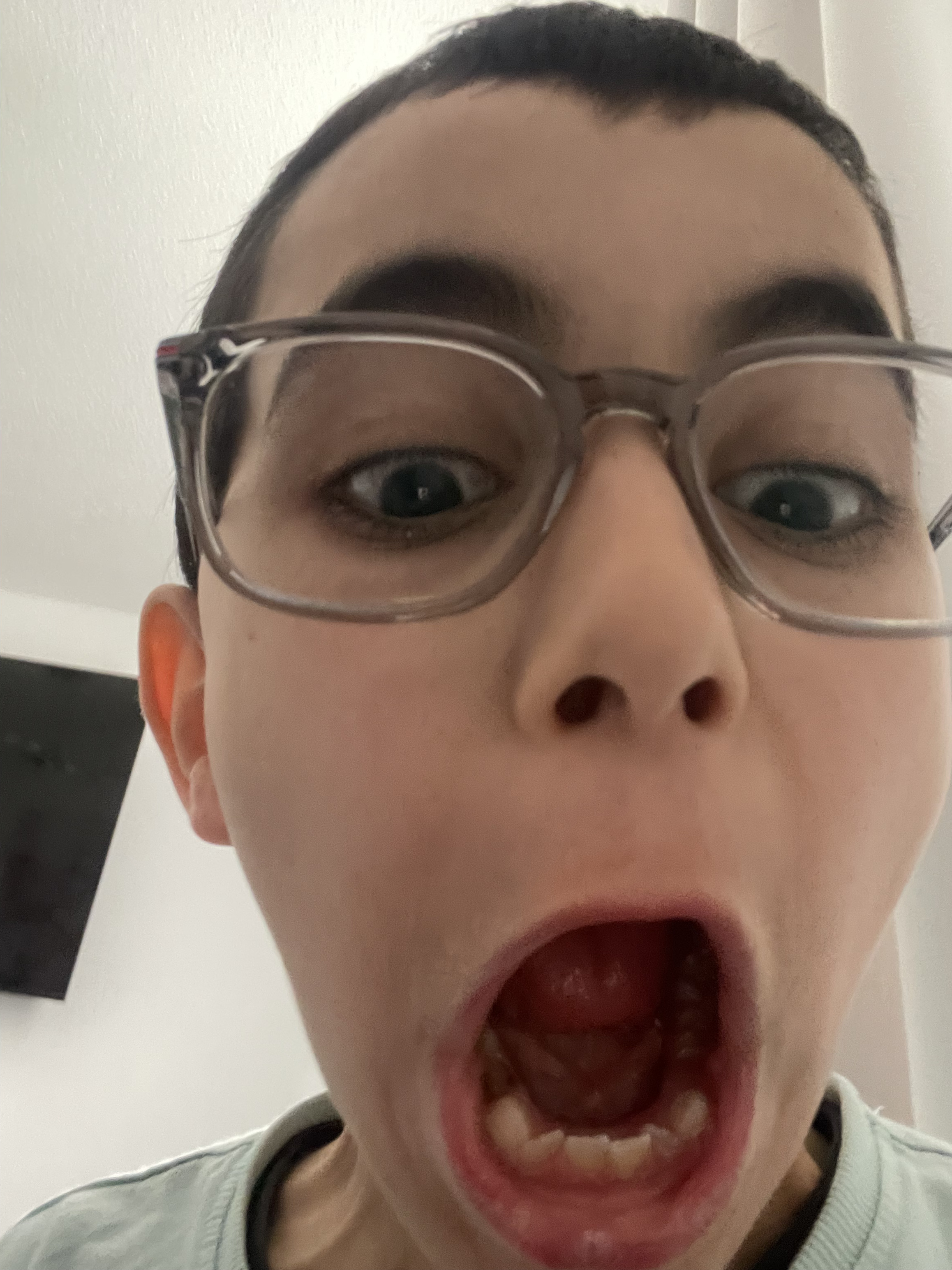 Screamer